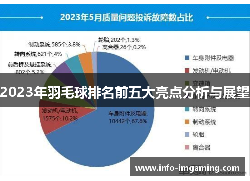 2023年羽毛球排名前五大亮点分析与展望